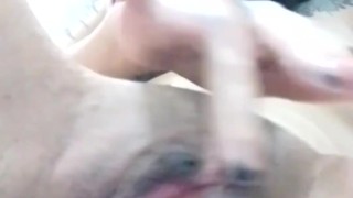 horny kitty masturbates at home