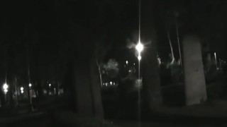 Orino en el parque mientras la gente sale con sus perros a pasear