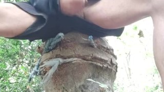 Feeling horny while walking 🚶Wanking in the woods 🌲