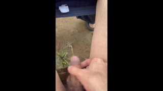 外でおしっこ