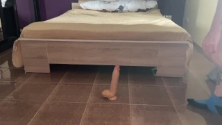 Парень садится своей узкой попкой на огромное дилдо и громко стонет от этого