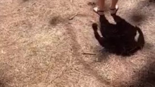 HOMEMADE FMM THREESOME with my HUSBAND and his BEST FRIEND!!