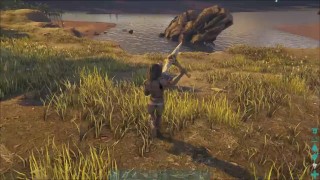 girl alone in the woods wanting to get the loot and holding the pickaxe