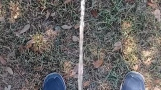 Risky Public Pissing