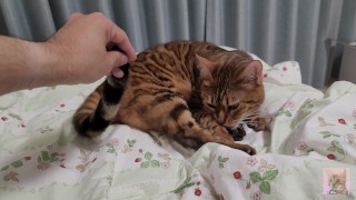 I want you to leave the kitty alone to play by itself ... .