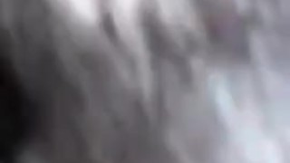 Fuck and Ass to Mouth