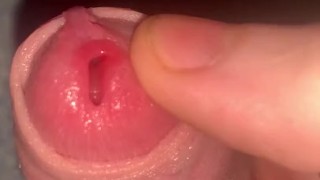 HORSECOCK Teen 18Yo