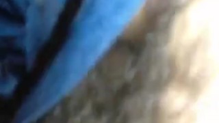 Pajalll