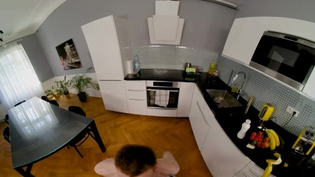 Rough Sex in the Kitchen in VR