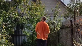 Ordinary affairs. Day in the garden