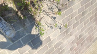不穿衣服横穿马路