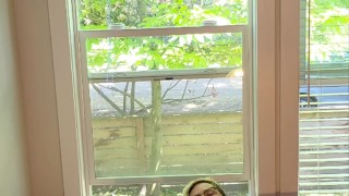 Leaving My Windows Open