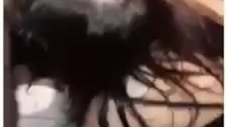 Mya choking on cock taking hard face fuck