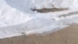 Pissing together off the highway