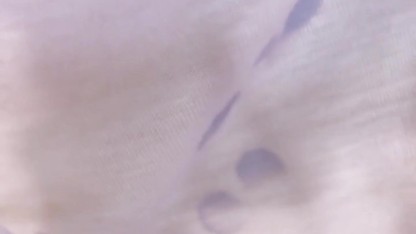 変態 美少女 ななみちゃん💕女子校生の美脚💕パイパン💕素人 日本人の自画撮りです💕