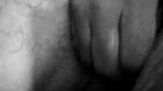 Tarpit Purgatoid