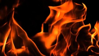 Already arrived from work wanting to eat ass