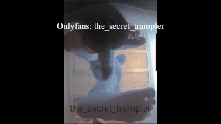 Cock and balls puncaked under glass (preview, full video on Onlyfans) cock trampling