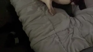 Pornhubs beginnings pt 2