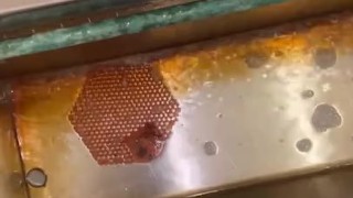 Taking a piss at an old urinal trough