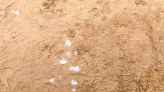 Baseball field 2 cumshot