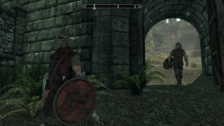 Skyrim - Dragonborn and Khajiits