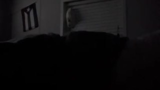 Woke up in the middle of the night hard and horny