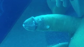 Jacking off before tanning bed
