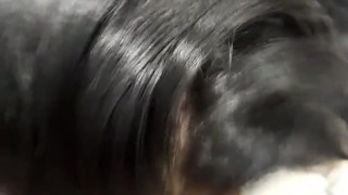 Rich blowjob from my sister in law