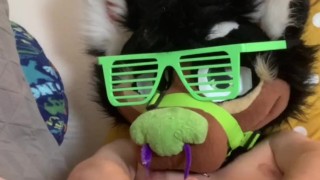 Furry fucks himself with dildo while masturbating with a toy pussy.