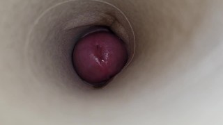 Suck my dick and swallow a huge load of sticky cum POV