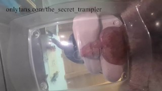 Stomping the cum out from your balls (preview)