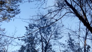 I invited my neighbor to a picnic in the forest and seduced her - Lesbian_illusion