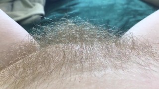 Blonde pussy hair bush close up