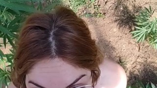 Una mañana normal viviendo en la momtaña