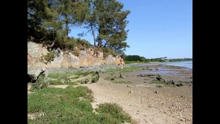 totally naked by the sea