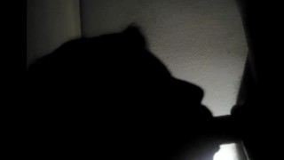Silhouette Blowjob & Cumshot