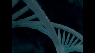 Fapcom Growth Virus Intro (Mikayla and Tanya)