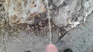 Peeing in public 11
