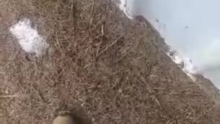 Work piss