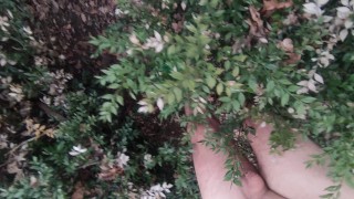 naked in the wood, walk in the brambles near road