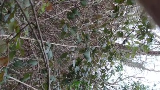 nue dans les bois. fouetter et hortie