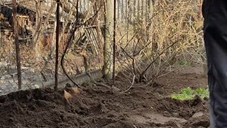 Gardening brings pleasure