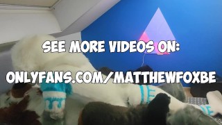 Matthew Fox is fucked bareback by Snauwflake the Seal ( Furry / Fursuit / Mursuit )