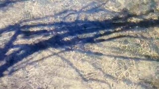 Big Dick Cumshot in Stream