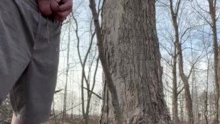 Spring Outdoor Piss