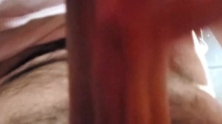 360 cock view