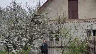 The spring rain is clouding