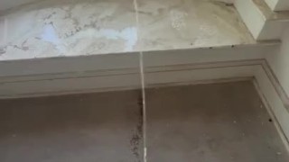 Openly pissing in full view of the neighbors!