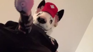 DOWN VIEW MURSUITING 1